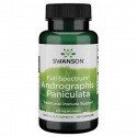 SWANSON Full Spectrum Andrographis Paniculata (podpora imunity) 60 kapsúl
