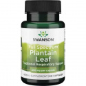 SWANSON skorocel celospektrálny (list) Plantago Major (respiračný) 60 kapsúl