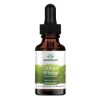 SWANSON Ginkgo Biloba tekutý extrakt (pamäť, kognitívne zdravie) 29ml