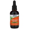 NOW FOODS Echinacea Extract Liquid (podpora imunitného systému) 59 ml
