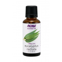 NOW FOODS Esenciálny olej z austrálskeho eukalyptu 30 ml