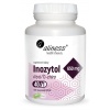 ALINESS Inositol myo/D-chiro 40/1 650 mg 100 vegetariánskych kapsúl