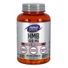 NOW SPORTS HMB 500 mg (zotavenie po cvičení) 120 vegetariánskych kapsúl