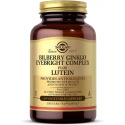 SOLGAR Bilberry Ginkgo Eyebright Complex plus luteín (čučoriedka, ginko, luteín) 60 vegetariánskych kapsúl