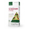 MEDICA HERBS Schisandra (Sisandra) 60 kapsúl