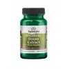 SWANSON Rhodiola Rosea Extract 250 mg 60 kapsúl