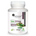ALINES Tulsi Extract 5% 300mg (Bazalka svätá) 90 vegetariánskych kapsúl