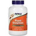 NOW FOODS Rastlinné Enzymes 240 vegetariánskych kapsúl