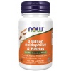 NOW FOODS 8 miliárd Acidophilus a Bifidus (probiotické) 60 vegetariánskych kapsúl