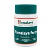 Himalaya Rumalaya Forte (kaby) 60 tabliet