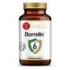 YANGO Borrelin 6™ podpora lymskej choroby – 100 vegánskych kapsúl