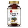 YANGO Boswellia 65™ (extrakt z kadidla) 60 vegetariánskych kapsúl