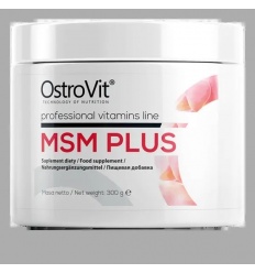 OSTROVIT MSM Plus 300g
