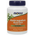 NOW FOODS Extrakt z Astragalus (koreň Targanek) 500 mg 90 vegetariánskych kapsúl