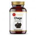YANGO Chaga (výťažok z huby Chaga, čierna huba) 90 vegetariánskych kapsúl