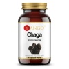 YANGO Chaga (výťažok z huby Chaga, čierna huba) 90 vegetariánskych kapsúl