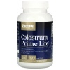 JARROW FORMULAS Colostrum Prime Life 500 mg (hovadzie colostrum, hovadzie colostrum) 120 kapsúl