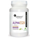 ALINESS ALPHA GPC 300 mg (cholín, nervový systém) 60 vegetariánskych kapsúl