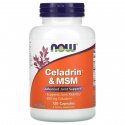 NOW FOODS Celadrin & MSM 500 mg (Kabov Support) 120 kapsúl