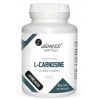 ALINES L-Carnosine 500 mg (L-Carnosine) 60 vegánskych kapsúl