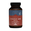 TERRANOVA Chaga 100% 500mg (ochrana proti voľným radikálom) 100 rastlinných kapsúl