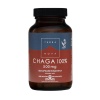 TERRANOVA Chaga 100% 500mg (ochrana proti voľným radikálom) 100 rastlinných kapsúl