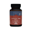 TERRANOVA Chaga 100% 500mg (ochrana proti voľným radikálom) 50 rastlinných kapsúl