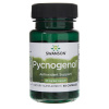 Swanson Pycnogenol 50 mg - 50 kapsúl