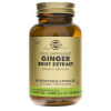 Solgar Ginger Extrakt z podzemku liečivého - 60 kapsúl