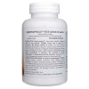 Haya Labs0 BerryDophilus™ Kids (probiotikum pre deti) – 120 tabliet