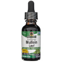 Nature's Answer Mullein Leaf, tekutý extrakt, bez alkoholu - 30 ml