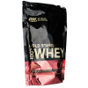 Optimum Nutrition 100% Whey Gold Standard, Double Rich Chocolate - 450 g