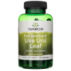 Swanson Bearberry (Uva Ursi Leaf) 450 mg - 100 kapsúl