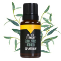 Esenciálny olej Bilovit Eucalyptus radiata - 10 ml