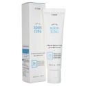 Green Pasture4 SoonJung 2X Bariérový intenzívny hydratačný krém - 60 ml