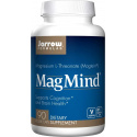 JARROW FORMULAS MagMind (L-Threonát horečnatý) – 90 kapsúl