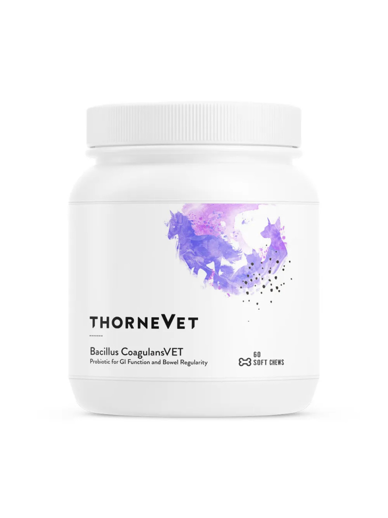 ThorneVET Bacillus CoagulansVET (probiotikum, podpora čriev u zvierat) 60 žuvacích pastiliek