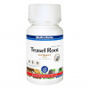 MEDICA BYLINKY Teasel root 150 Capsules