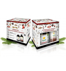 LIVING FOOD Joy Day Probiotická vianočná sada 2 x 500ml
