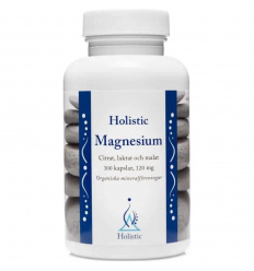 HOLISTIC Magnesium 120 mg (horčík) 100 kapsúl