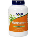 NOW FOODS Echinacea 400 mg (Echinacea fialová) 250 vegetariánskych kapsúl