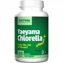 JARROW FORMULAS Yaeyama Chlorella 200 mg (chlorofyl, RNA, DNA) 300 tabliet
