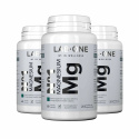 LAB ONE N°1 Magnézium Mg (horčík) 3 x 60 vegánskych kapsúl