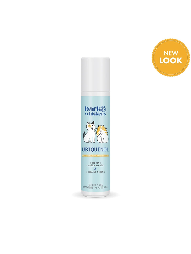 DR. MERCOLA Ubiquinol Tekutá pumpa pre mačky a psy 40 ml