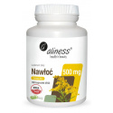 ALINESS Goldenrod 500 mg (Močový systém, antioxidant) 100 vegánskych kapsúl