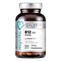 MYVITA Vitamín B12 FORTE 100 mcg (metylkobalamín) 120 kapsúl