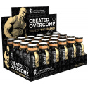 Levrone Scatterbrain Shot predtréningové mango - 24 kusov