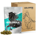 Geloren Horse HA Doplnková zmes, želé pre kone na kĺby - 1350 g (3 vrecúška)