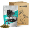 Geloren Horse HA Doplnková zmes, želé pre kone na kĺby - 1350 g (3 vrecúška)